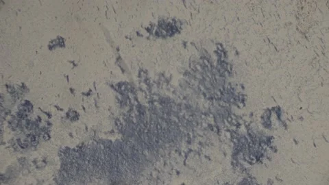 High-Magnification Spinal cord on a microscopic slide Under microscope Stockbeeldmateriaal 238374145