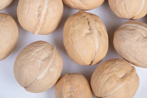 High magnification study of shell surface textures. Exquisite closeup photograph 写真素材