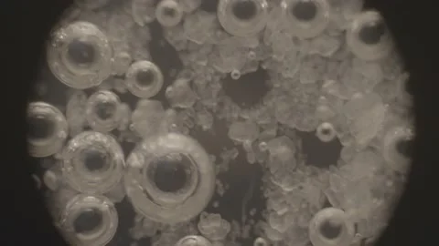 High-Magnification Under microscope Soda and Vinegar reaction Stockbeeldmateriaal 239060585