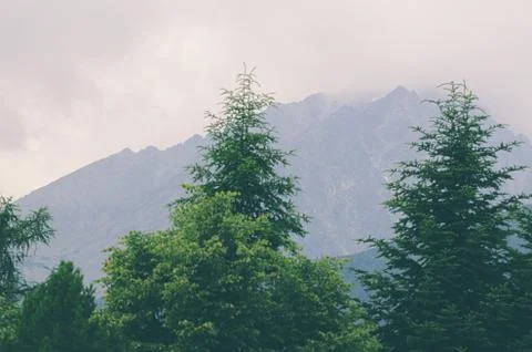 High Misty Mountain Stock Photos