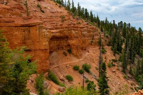 High mountain forest cliff-side trail Stock Photos