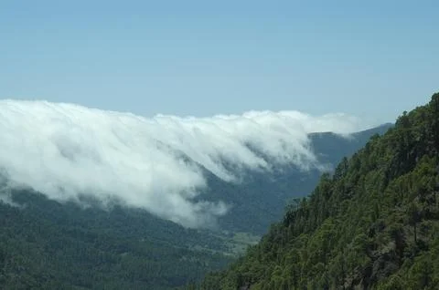 High mountain landscape with clouds drifting through the pines Stock Photos