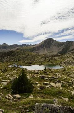 High mountain landscape. Stock Photos