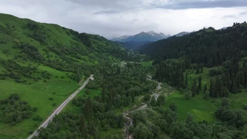 High Mountain Meadows in the Kurdning Grassland of Ili, Xinjiang China Stock-Footage 307411231