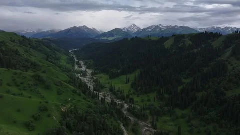 High Mountain Meadows in the Kurdning Grassland of Ili, Xinjiang China 库存影片 307411315