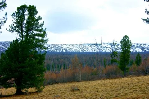High in mountain Stock Photos