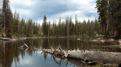 High Mountain Pond in the Uintahs Vídeo Stock 40384002