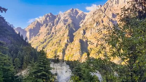 High mountain range behind the forest. Фото