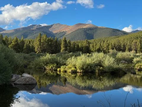 High Mountain Stream with Beaver Pond Stock Photos