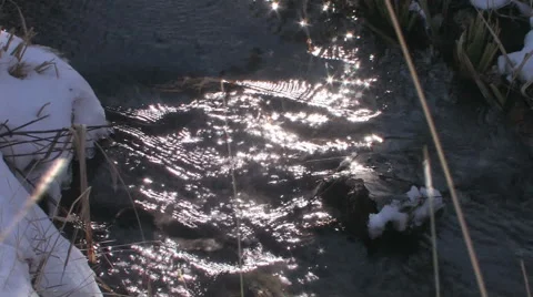 A high mountain stream sparkles in the sun light in central Utah 스톡 동영상 56222794