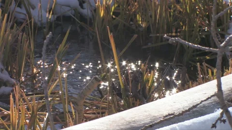 A high mountain stream sparkles in the sun light in central Utah Stock-Footage 56222829