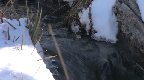 A high mountain stream sparkles in the sun light in central Utah 스톡 동영상 56223103