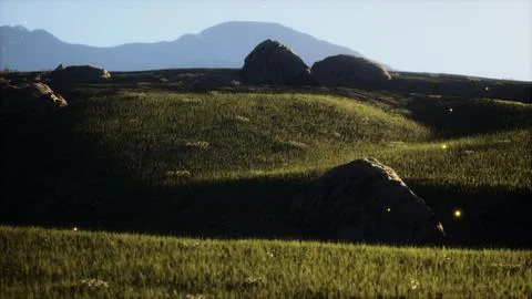High mountain summer landscape and meadow with huge stones among the grass Stock Illustration