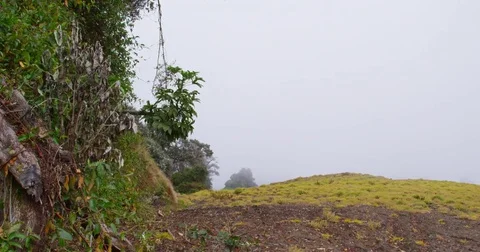 High in the mountains, the clouds descended on trees Stock Footage 83375770