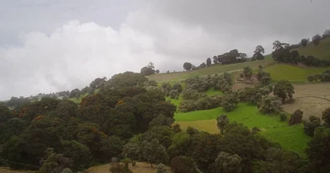 High in the mountains, the clouds descended on trees Stock Footage 85134043