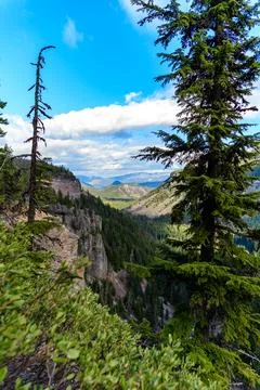 High mountains covered with dense forest, a lake in the distance, Montana, US Stock Photos