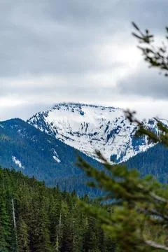 High mountains covered with dense forest, a lake in the distance. Montana, .. Foto stock