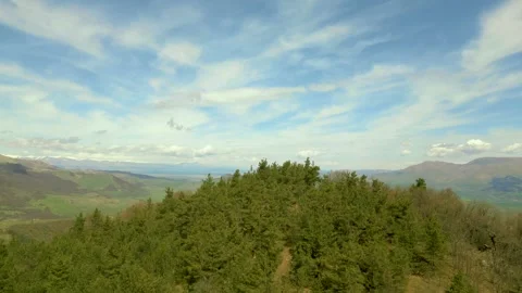 High mountains covered with grass and forest in sunny weather. Pushkin Pass. Video stock 254454486