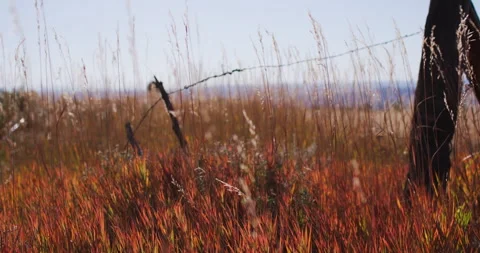 High Mountains, grass field, barbed wire fence, warm autumn tones, blue sky, 4K Stock Footage 250416286