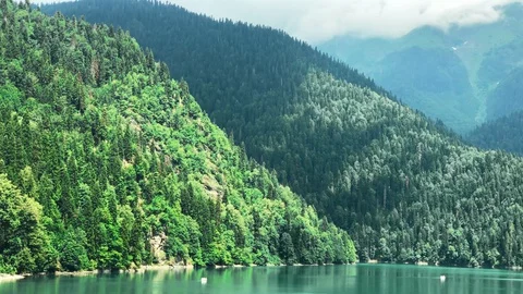 High mountains overgrown with dense pine forest and the coastline of clear lake Stock Footage 128687499