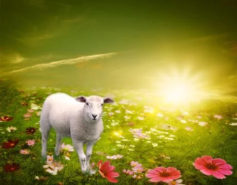 High in the mountains shepherds graze cattle among the panorama of wild forests Stock Illustration