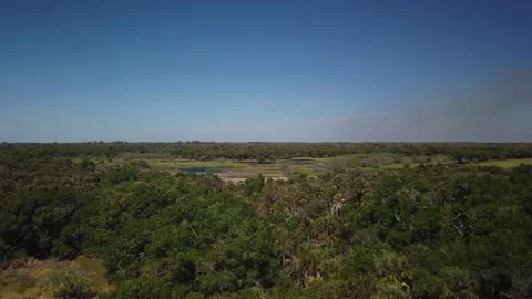 High Pan left to right form Observation Tower at  Myakka River State Park in0006 Stock Footage 266537644