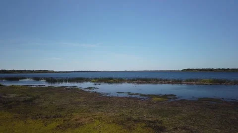 High Pan left to right form Observation Tower at  Myakka River State Park in Sar Stock Footage 266539340