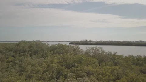 High Pan left to right from observation deck in Boca Ciega Millennium Park in Se Stock Footage 265021772