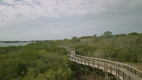 High Pan left to right from observation deck in Boca Ciega Millennium Park in Se Stock Footage 265021776
