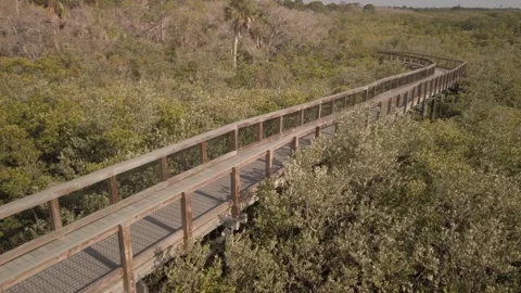 High Pan left to right from observation deck in Boca Ciega Millennium Park in Se Stock Footage 265023697