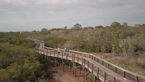High Pan right to left from observation deck in Boca Ciega Millennium Park in Se Stock Footage 265023591