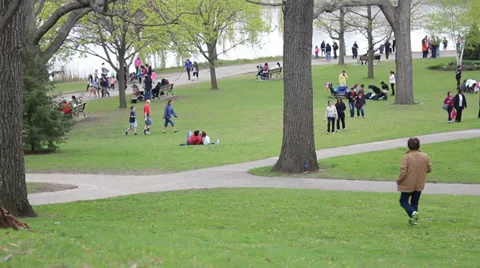 High Park On A Nice Day Stock Footage 38617134
