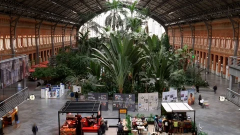 High perspective timelapse of passengers at Atocha Railway Station with Stock Footage 119522772