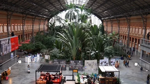 High perspective view of passengers at Atocha Railway Station with rainforest Stock Footage 119522724