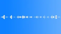 High pitches from birds, loopable, SFXSound Effect