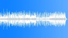 High Pizzazz Paradise-like Acoustic Funk Pop Background MusicStock Music