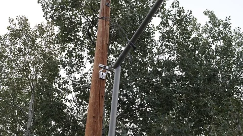 High power electrical lines downed from a fallen tree. Video stock 93455127