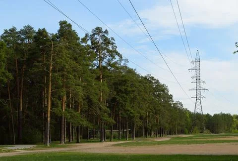 High power lines stand in the clearing of the green forest Foto stock