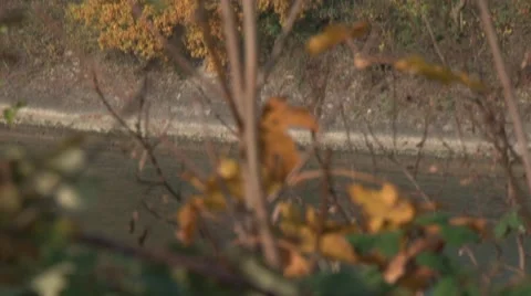 High power pylons 5 Stock Footage 1038115