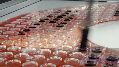 High-precision robotic arm control at the exhibition. Stock Footage 156525542