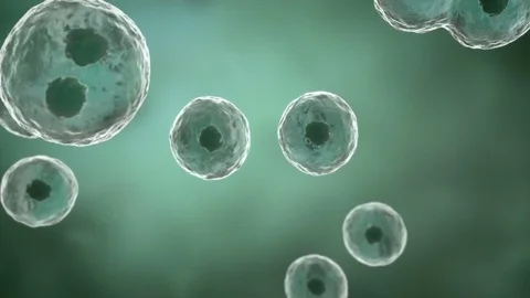High quality 3d rendering of a cells dividing and multiplying. Stock Footage 82394168