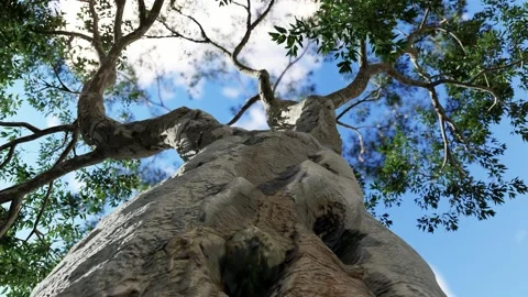 High-quality 3D Tree Animation Background 動画素材 161769572