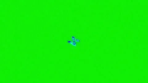 High quality 4K bird footage on green screen background with flying, crawling Stock Footage 337047358