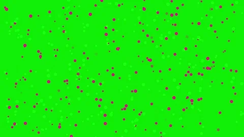 High quality 4K dots footage on green screen background with gentle movement. Stock Footage 337047346