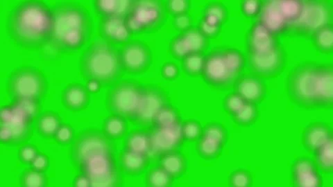 High quality 4K lots footage on green screen background with fluid movement. Stock Footage 337047594