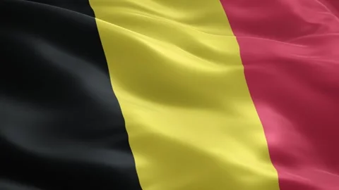 High quality Belgium flag waving in the wind seamless loop national symbol .. Stock Footage 334492802