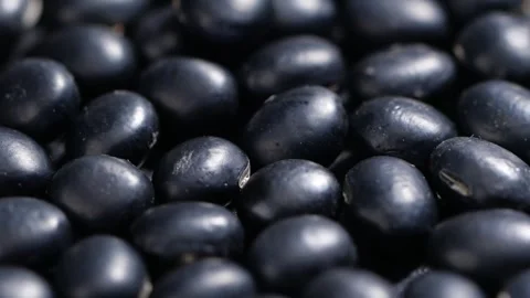 High quality black beans, grains and miscellaneous crops, black beans Stock Footage 274472949