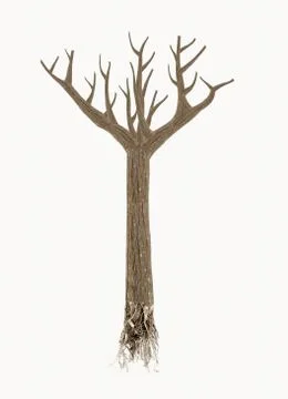 High quality dead tree with roots isolated on white Stock Illustration