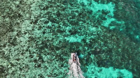 High-quality drone of clear ocean water in Palau. Downward angle shot of boat Stock Footage 313589545
