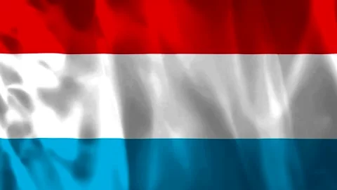 A high quality fabric texture of the national flag of Luxembourg waving in .. Vídeos de archivo 343581600